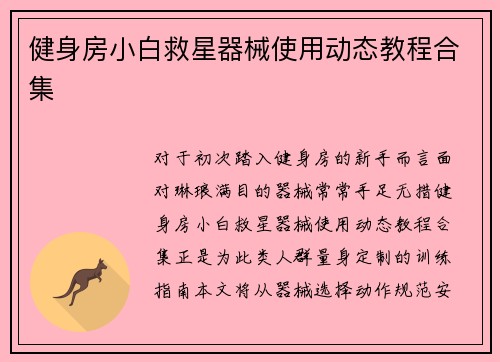 健身房小白救星器械使用动态教程合集